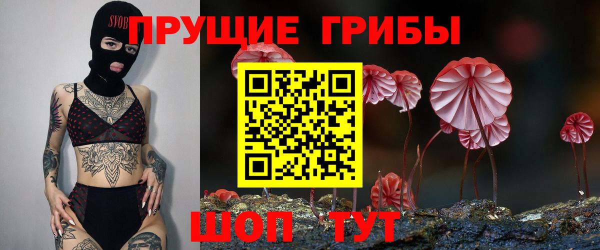 Галлюциногенные грибы мицелий  Псилоцибиновые грибы Psilocybine cubensis  Переславль-Залесский  Вход с VPN 