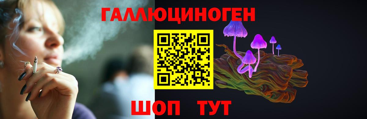 Псилоцибиновые грибы Psilocybine cubensis Переславль-Залесский